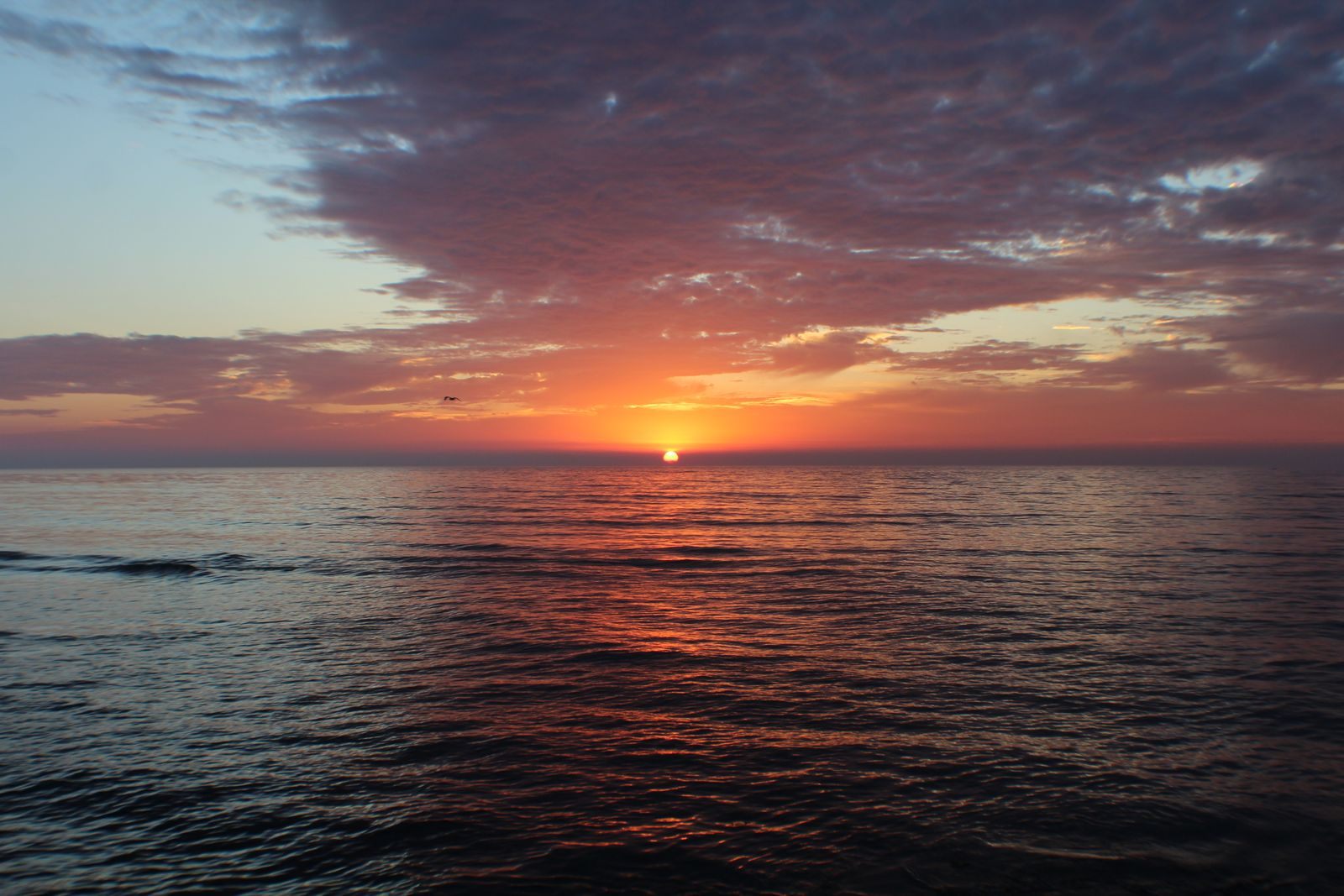 Sun rising over a calm sea, the peaceful start sober cruises aim for